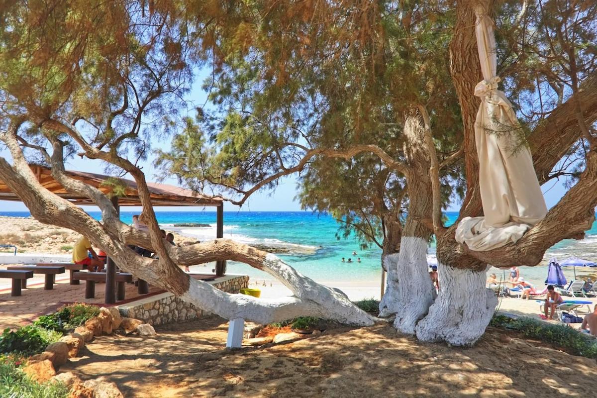 Beachfront Luxury Villa Idania Ayia Napa Exterior photo